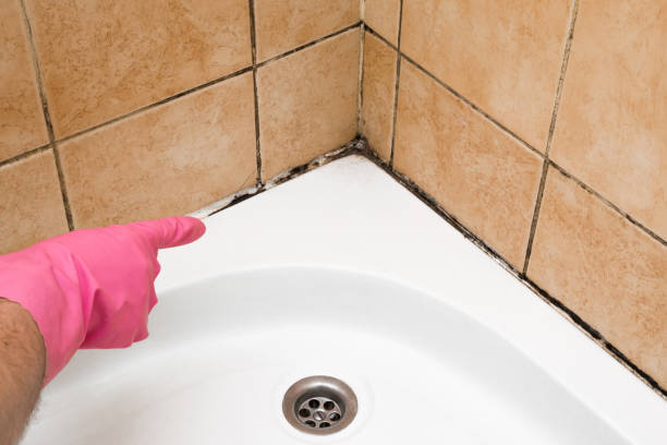 Best Mold Cleaning Services  in Canyon Lake, TX